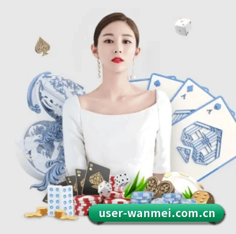 市场拓展 - 用户数量爆发式增长,与多家国际知名内容服务商达成深度合作。
